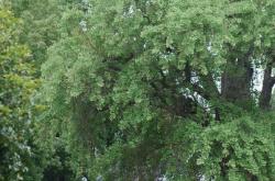 两人小游戏精选：随时随地增进感情，创造专属快乐时光