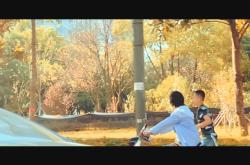 Plotagraph 制作全攻略：轻松将静态照片转化为动态艺术，释放创意无限可能