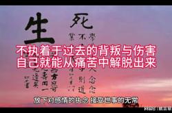 解脱者：如何从焦虑执着中解放，获得内心平静与自由