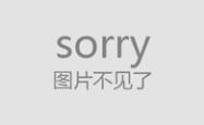 海贼王五百集，里程碑与展望——一位游戏竞技达人的独特解读