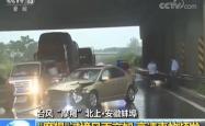 台风贝碧嘉秃顶了？揭秘背后的真相