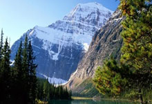 鬼武者2终极攻略：一键掌握一闪技巧与同伴好感度，轻松通关战国魔幻世界