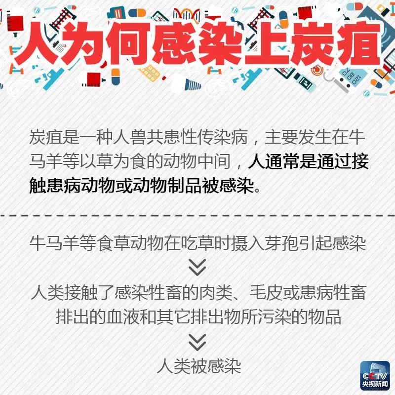 山东炭疽病例引发关注，疫情下的防控与隔离措施