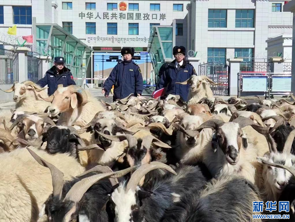 安徽市监局专班处理三只羊槽头肉事件，监管升级，保障食品安全