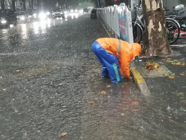 台风过境后的奇遇，市民路边捡椰子