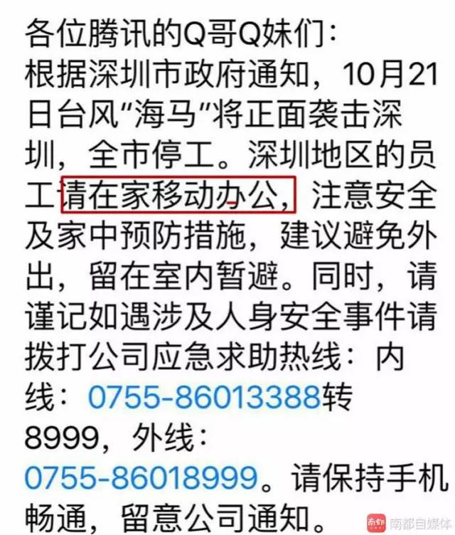 海口公寓楼被台风吹歪事件，住建局的回应与反思