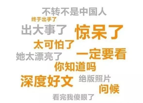 百万粉丝网红小小努力生活被抓背后的真相与反思