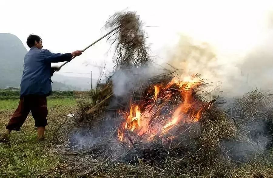 黑龙江部署秸秆禁烧工作，守护蓝天绿地的坚定行动