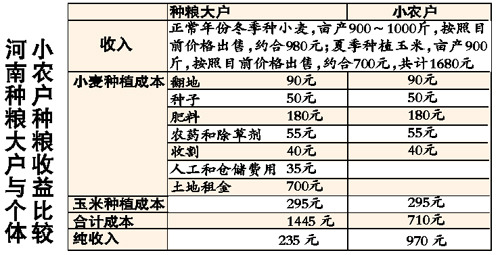 日本米价涨势凶猛，原因与影响分析