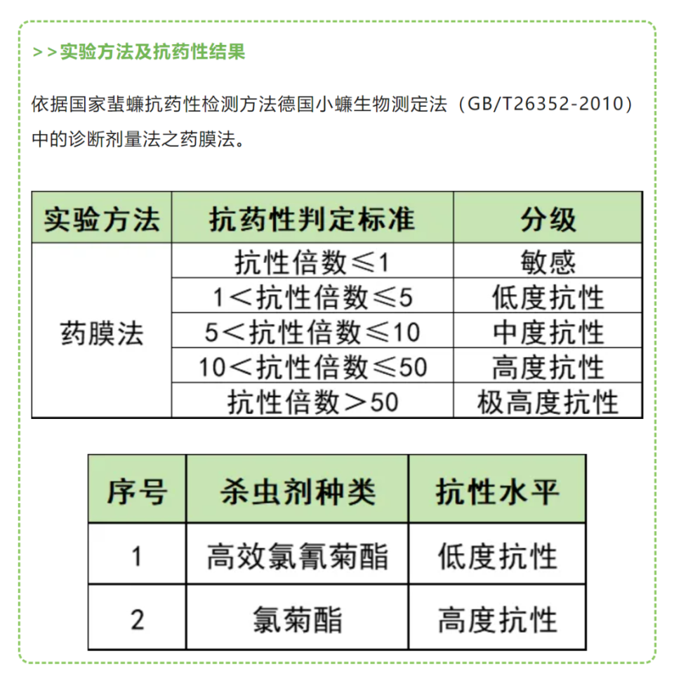 广东蟑螂已进化？疾控部门回应，科学认知与正确防治策略的重要性