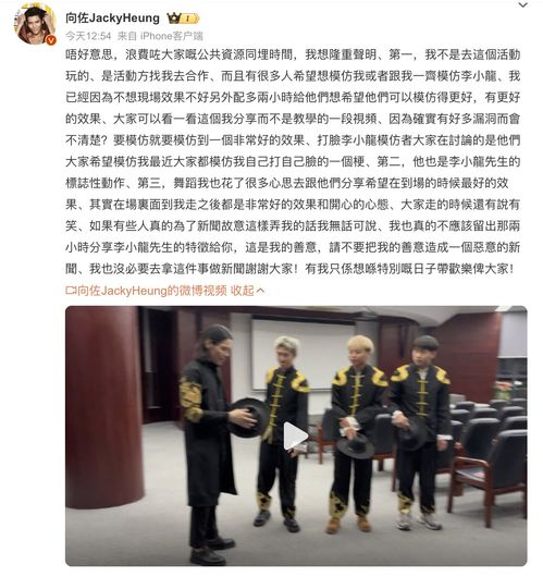 向佐回应扇李小龙模仿者巴掌事件，尊重与理解的对话