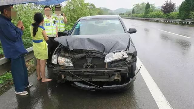 云南女子驾车偶遇，六头野猪意外掉落山道