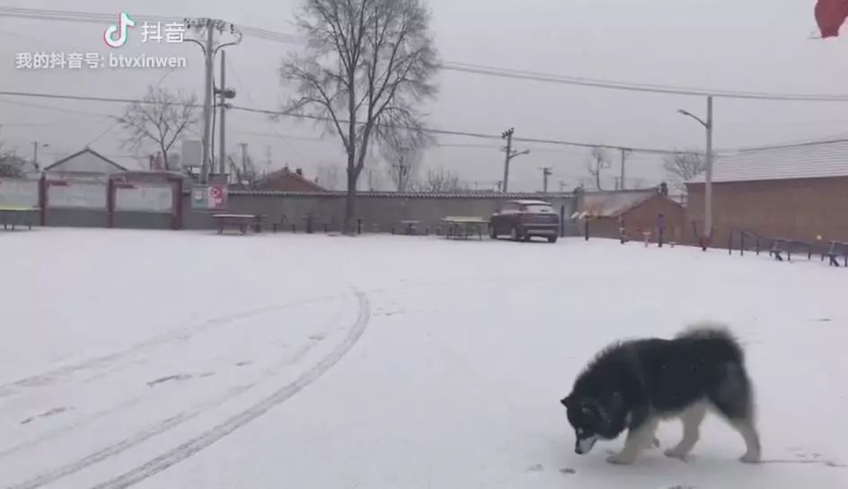 北京飘雪了