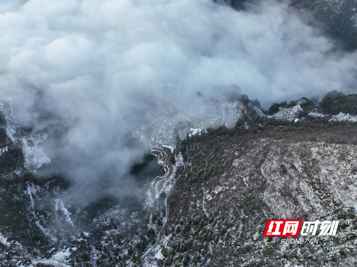 鹤岗雪后奇景，推门即入雾凇画