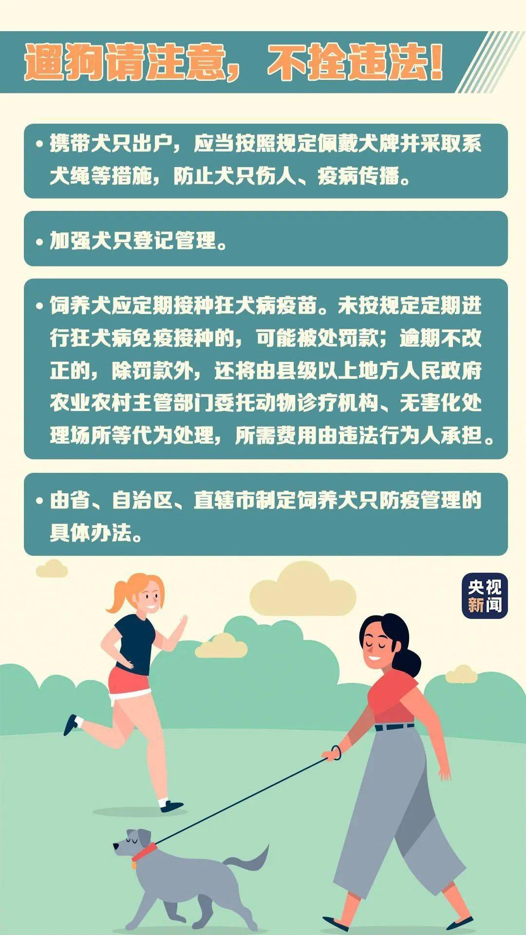 家有宠物，一份责任与爱的故事