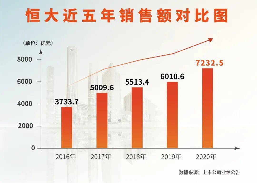 揭秘免单背后的秘密，优惠与营销策略大解析