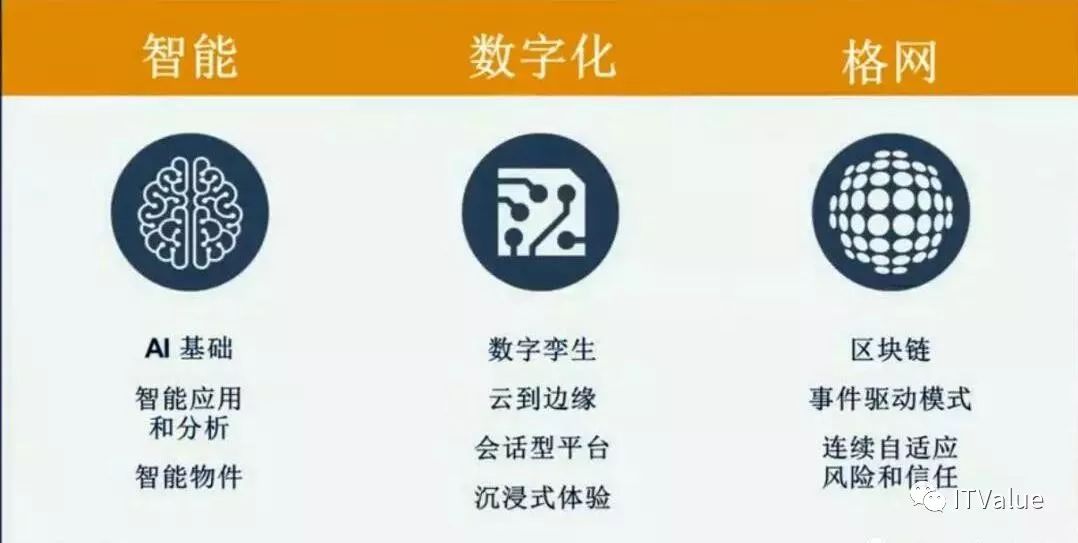 公会排名背后的秘密，深度解析与策略探讨