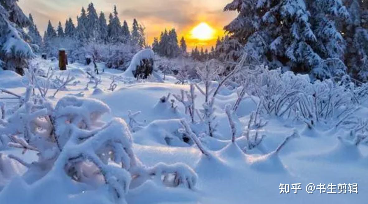 浙江雪景下的理性思考，封路传闻背后的真相