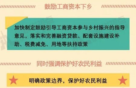 中央一号文件引领农村高额彩礼治理新篇章