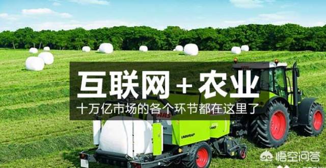 疯狂的农场，探索农业科技的奇妙世界