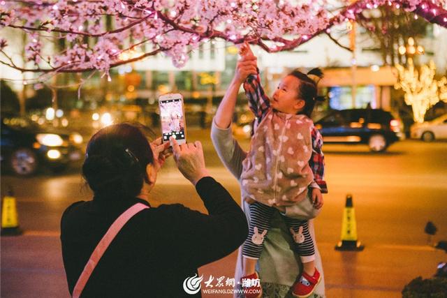花季V302，青春的绽放与挑战