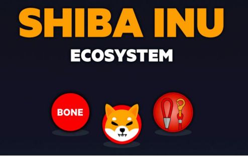 屎币（Shiba Inu）最新价格分析，市场动态、投资前景与未来展望