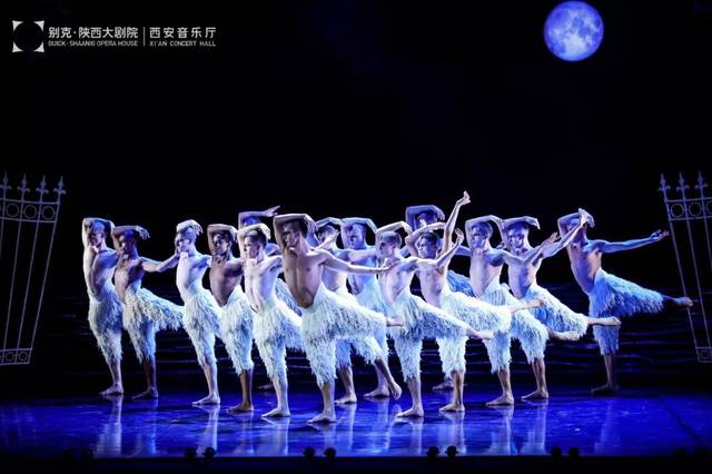 华尔兹圆舞曲，音乐与舞蹈的永恒交响