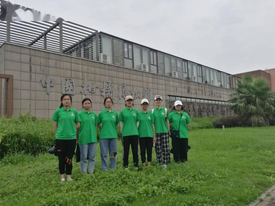 我去买几个橘子，探索中国柑橘文化与市场动态
