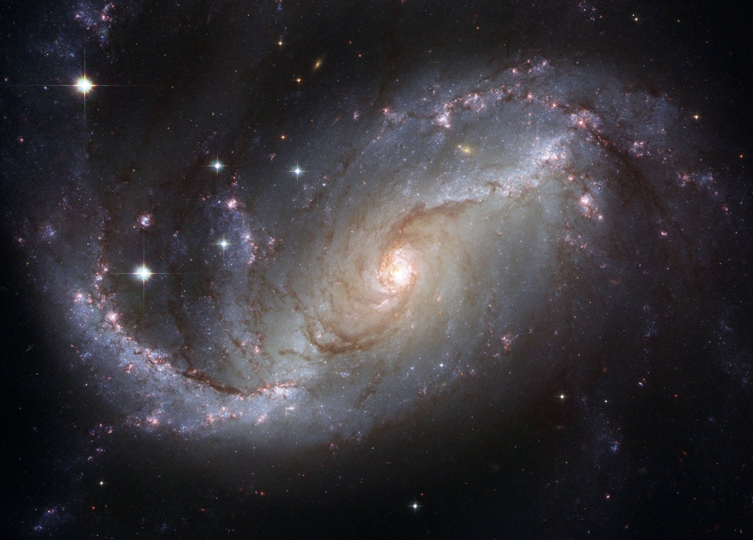 探索孢子银河大冒险，一场跨星系的奇幻之旅