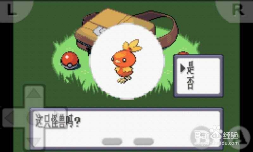 口袋妖怪红宝石，神兽的传说与捕捉指南