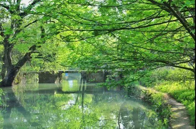 探寻桃花潭，中国古典诗意的现实所在