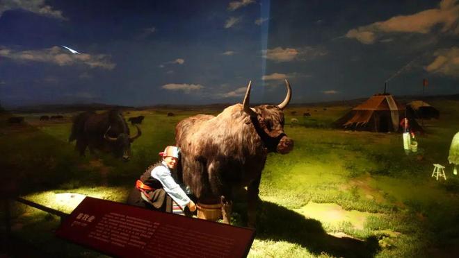 穿越时空的奇妙之旅，咱们穿越吧第三季深度解析