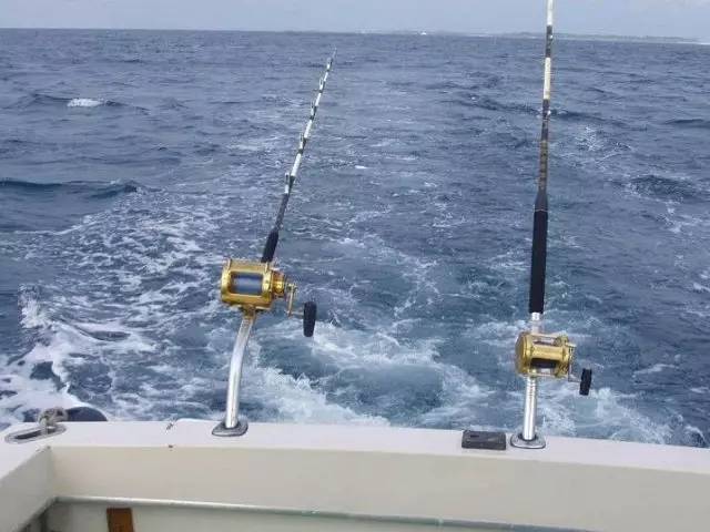 钓鱼1 375鱼竿全方位评测：轻便耐用，助你轻松钓获大鱼，告别钓鱼疲劳