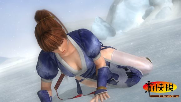 死或生5新手入门攻略：从菜鸟到精通角色的完整成长历程