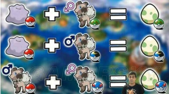 口袋妖怪2完整攻略：从下载安装到进阶对战，轻松开启你的精灵训练师冒险之旅