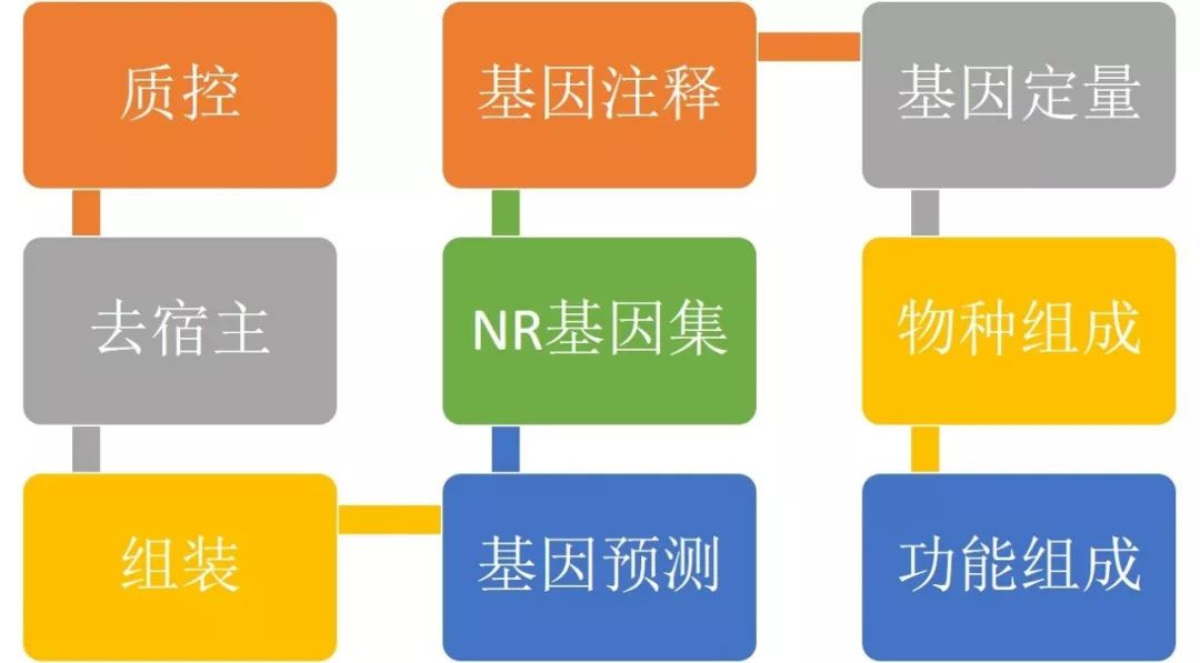 啪嗒砰2财务攻略：高效资源管理与收益最大化指南，轻松省钱通关