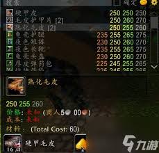 魔兽世界制皮专业全攻略：从入门到精通，轻松打造顶级装备与坐骑