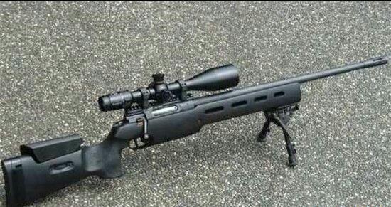 狙击枪排名：快速找到最适合你的高精度武器，避免选错浪费金钱