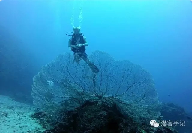 黑水港湾的沉船上冥想：轻松掌握深度放松与内心探索的实用指南