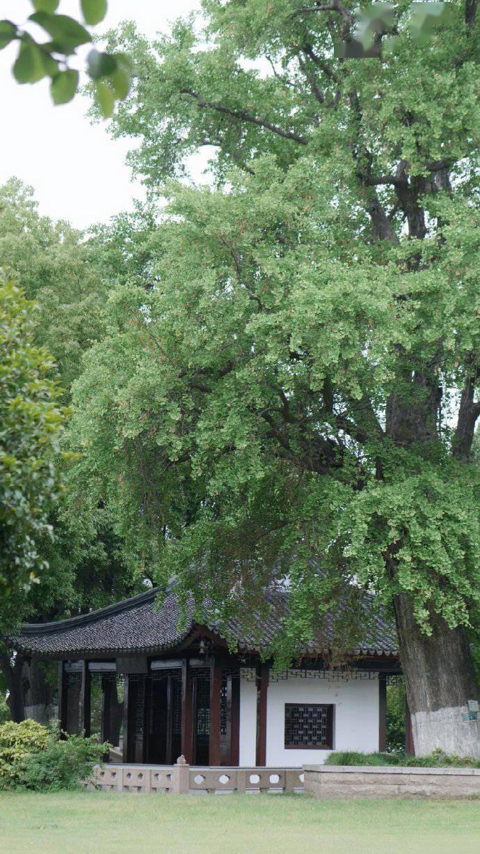 两人小游戏精选：随时随地增进感情，创造专属快乐时光