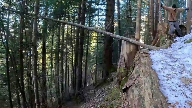 迷失森林求生指南：掌握水源食物庇护所与方向识别技巧，轻松应对野外迷路恐慌
