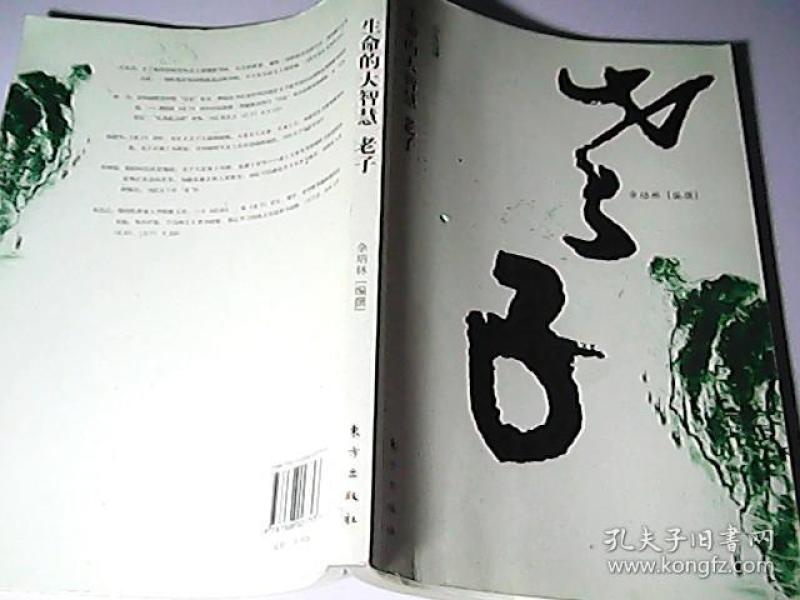 西天取精：现代人如何从古老智慧中汲取生命能量，轻松应对欲望与修行