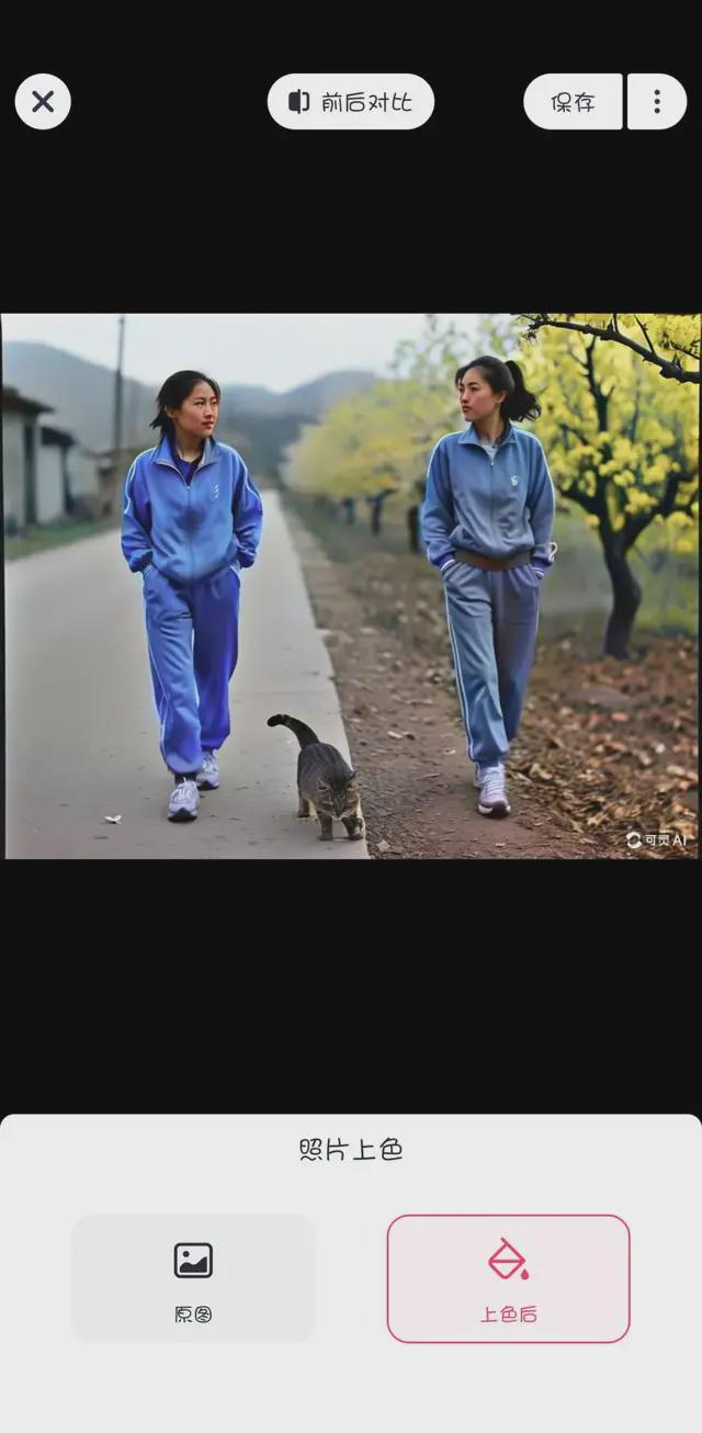 Plotagraph 制作全攻略：轻松将静态照片转化为动态艺术，释放创意无限可能