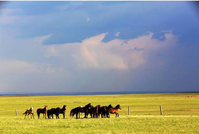 哥萨克3：轻松掌握东欧草原游牧文明，体验自由骑兵的快乐征战